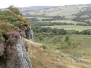 DSCN0842.JPG (328046 bytes)